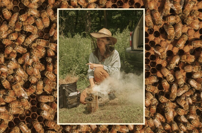 How a Deaf Beekeeper Takes Care of Bees — BonAppetit